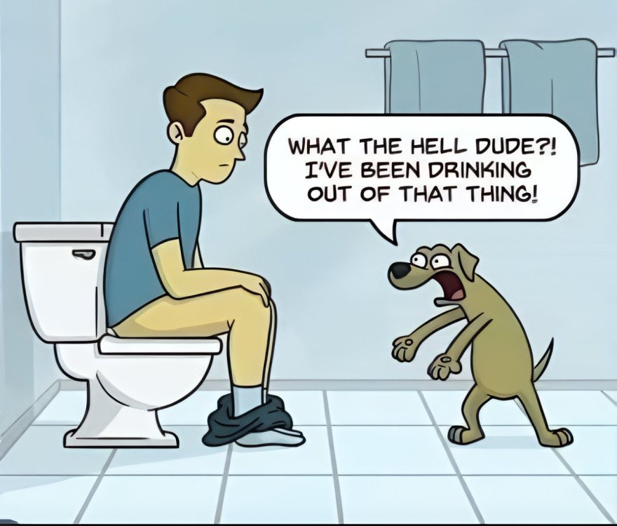 FUNNY CARTOON 68.jpg