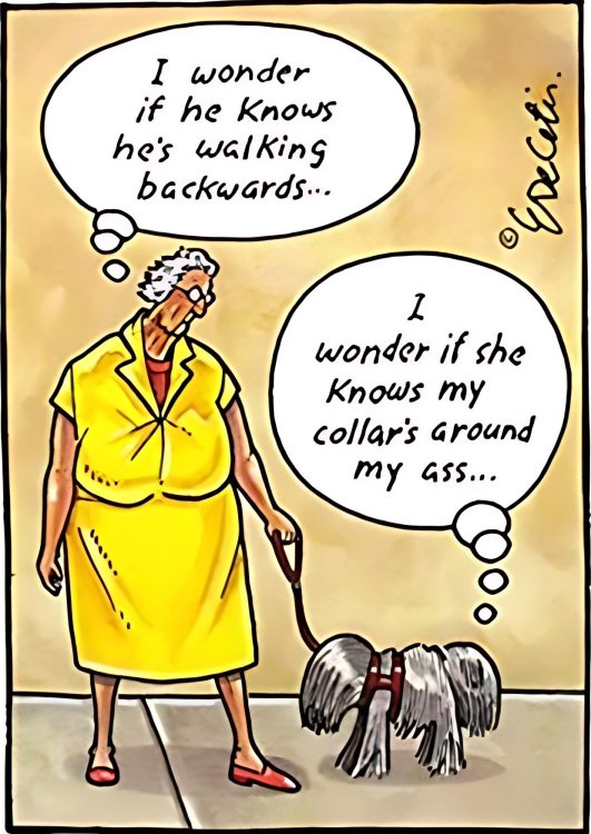 FUNNY CARTOON 71.jpg