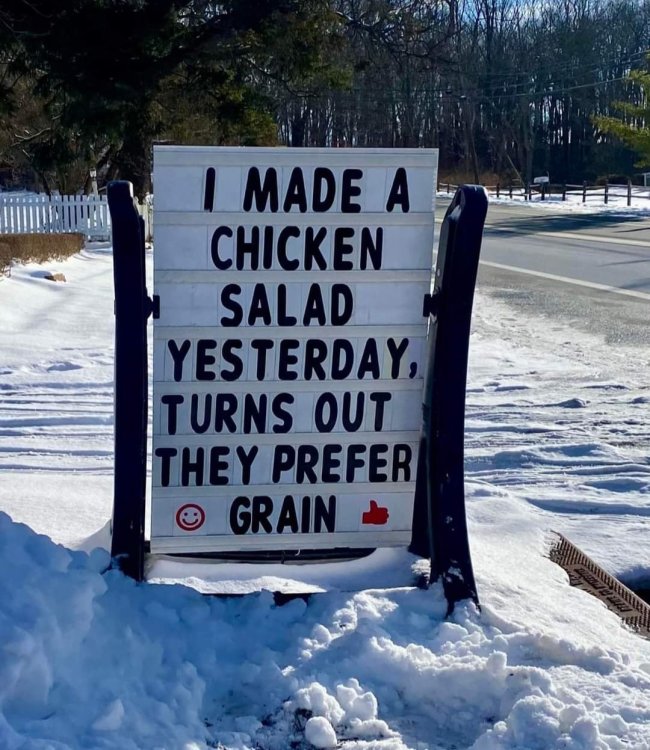 FUNNY SIGNS 08.jpg