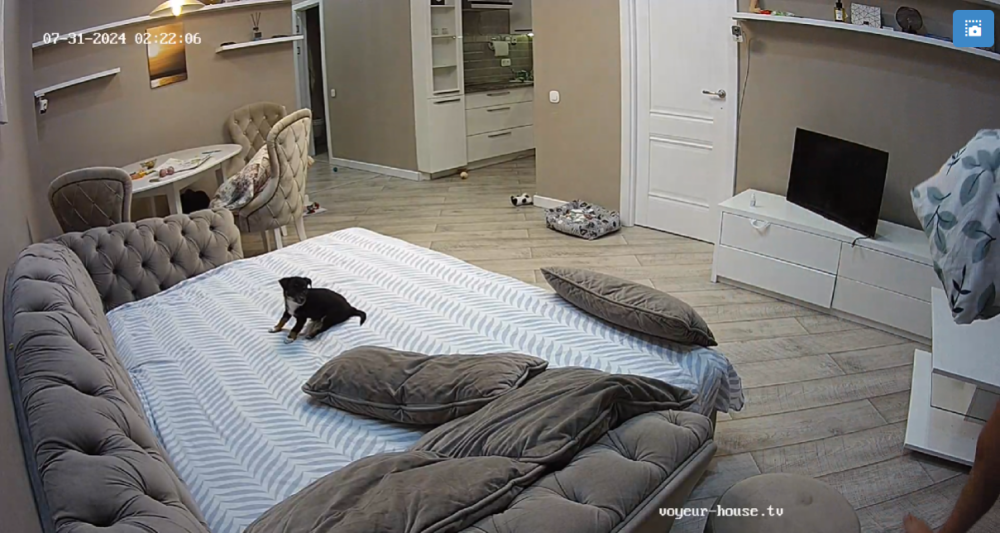 bandicam 2024-07-31 00-11-59-587.png