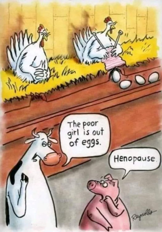 FUNNY CARTOON 104.jpg