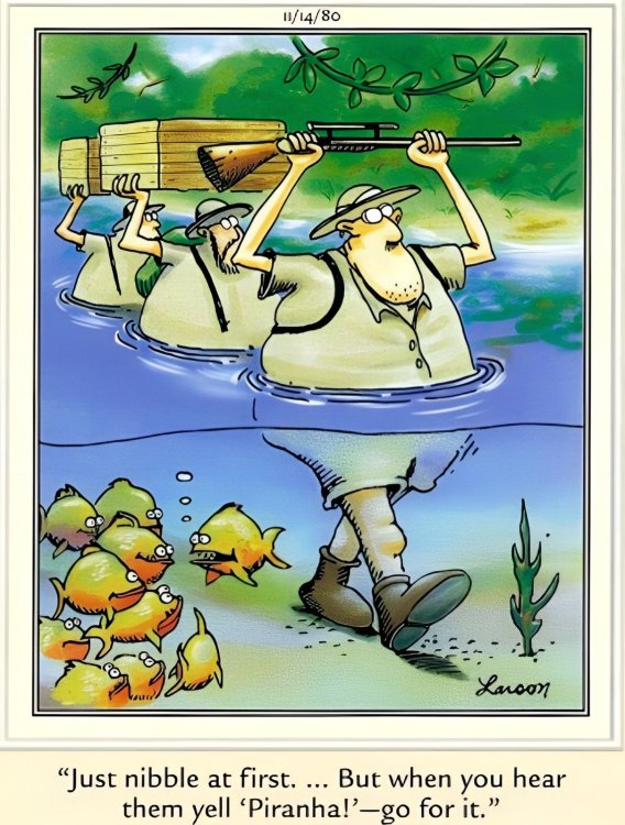 FUNNY CARTOON 106.jpg