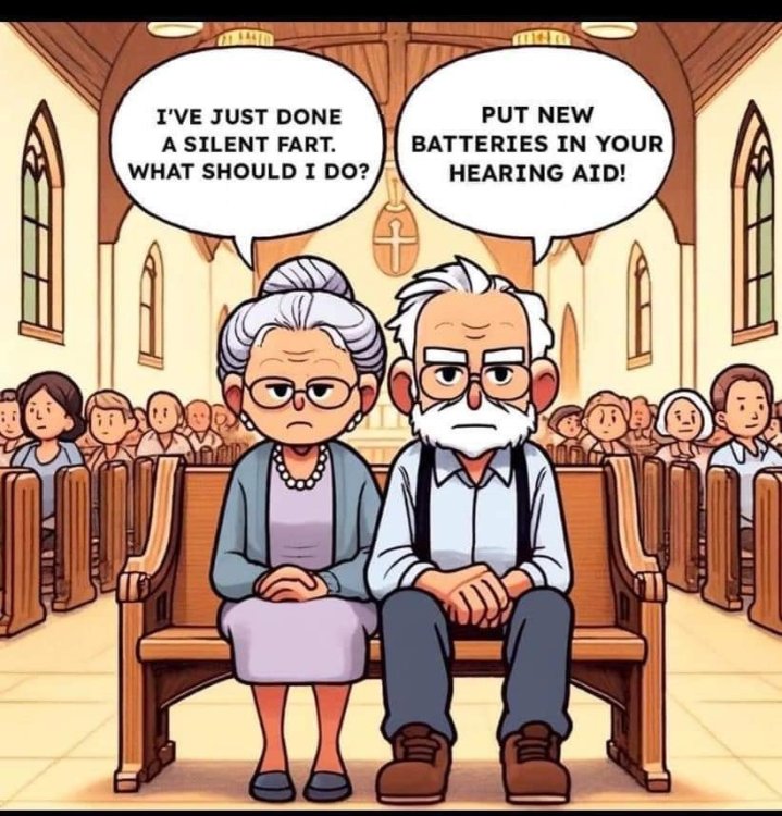 FUNNY CARTOON 11.jpg