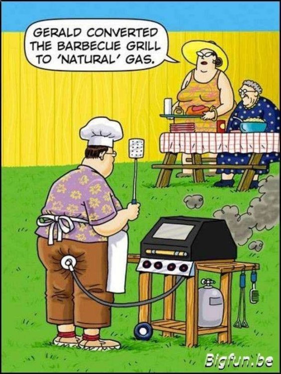 FUNNY CARTOON 113.jpg