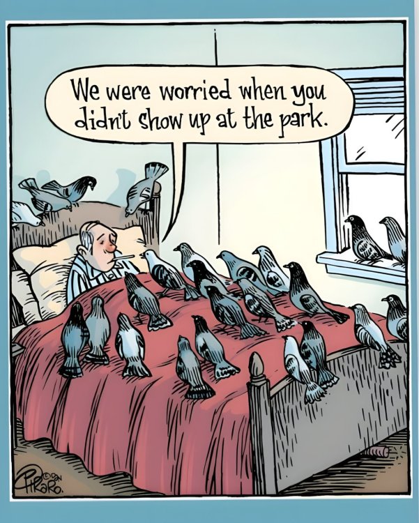 FUNNY CARTOON 14.jpg