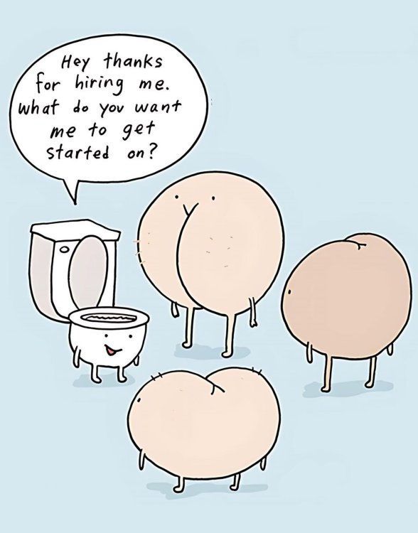 FUNNY CARTOON 33.jpg