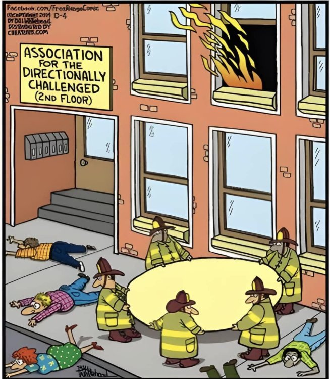 FUNNY CARTOON 61.jpg