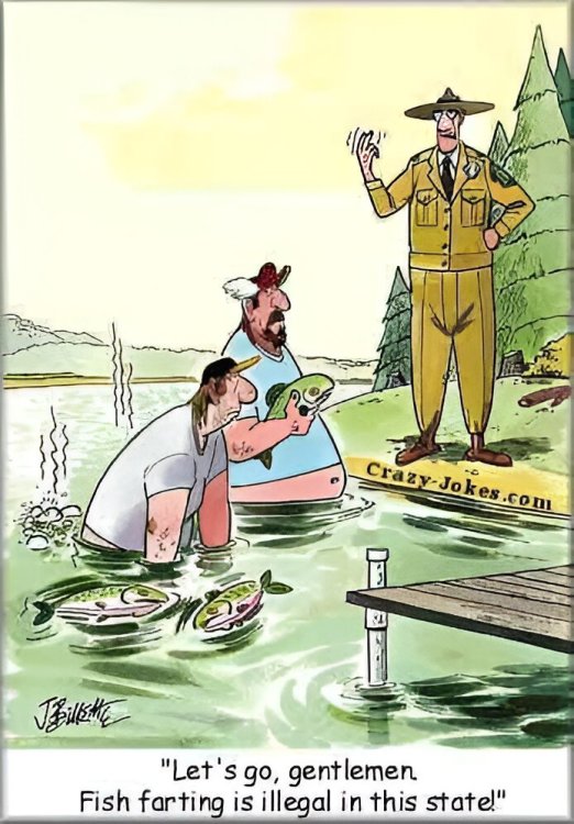 FUNNY CARTOON 67.jpg