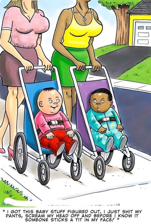 FUNNY CARTOON 72.jpg