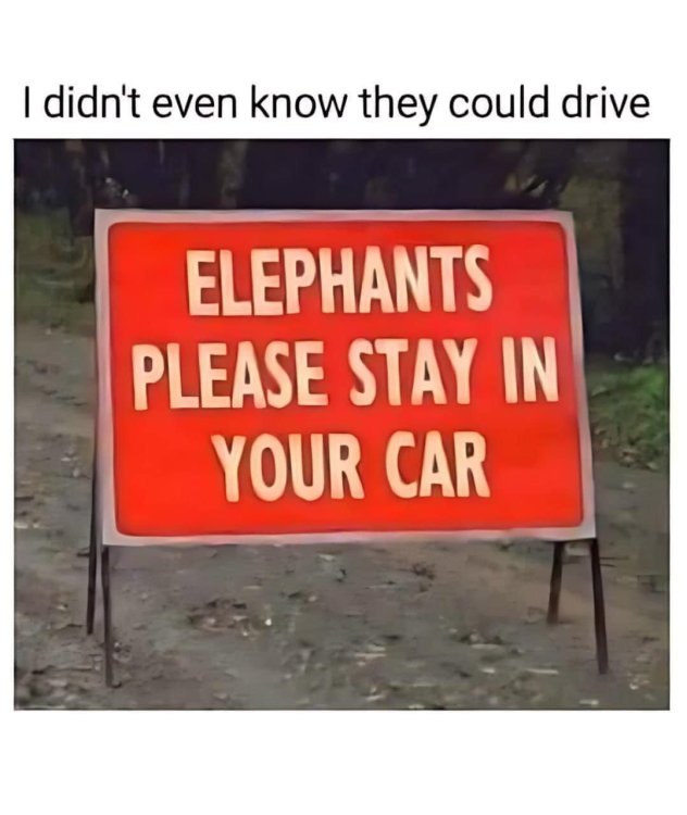 FUNNY SIGNS 02.jpg