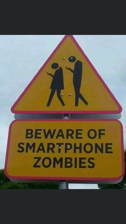 FUNNY SIGNS 37.jpg