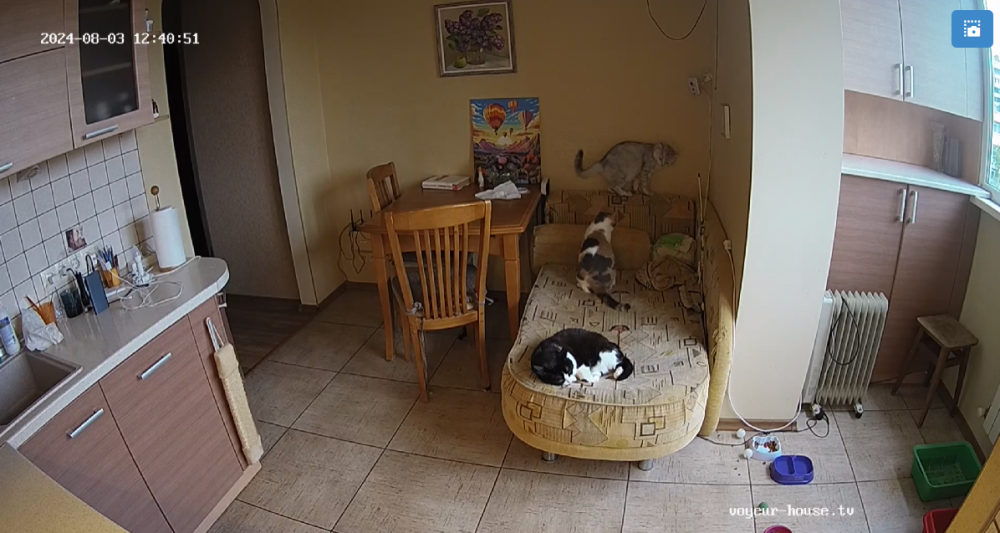 bandicam 2024-08-04 05-31-41-279.png