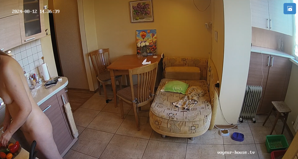 bandicam 2024-08-13 02-35-15-859.png