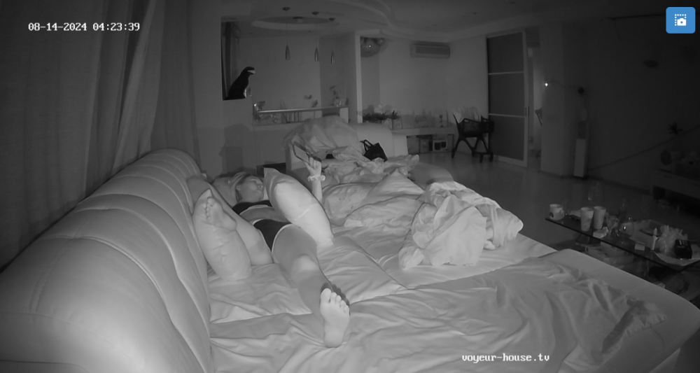 bandicam 2024-08-14 09-00-11-783.png