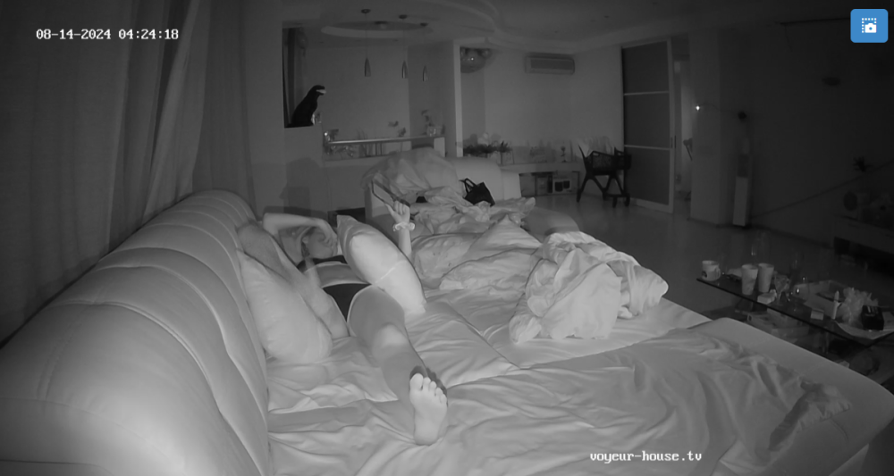 bandicam 2024-08-14 09-01-15-232.png