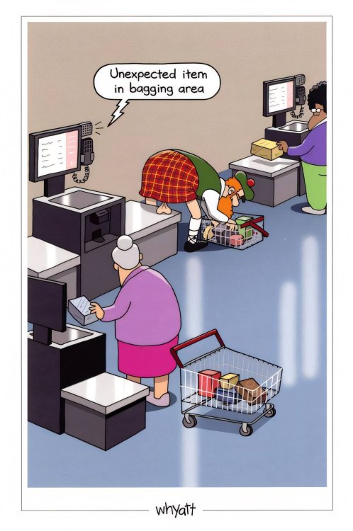 FUNNY CARTOON 01.jpg