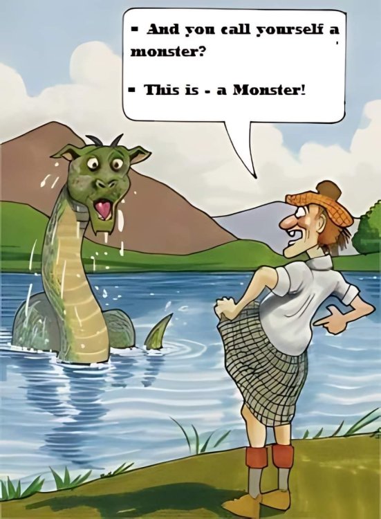 FUNNY CARTOON 07.jpg