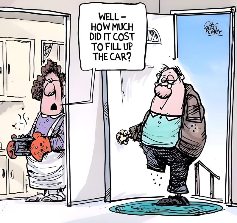 FUNNY CARTOON 09.jpg