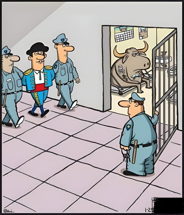 FUNNY CARTOON 11.jpg