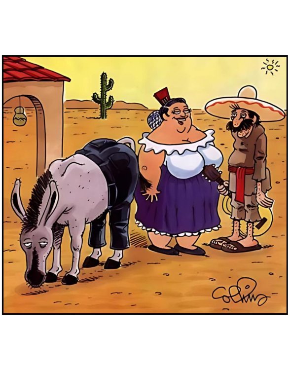 FUNNY CARTOON 12.jpg