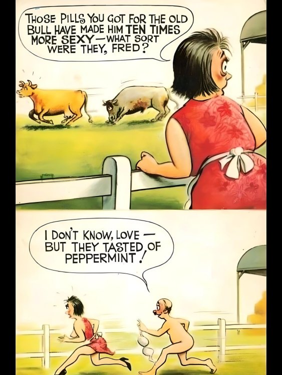 FUNNY CARTOON 14.jpg