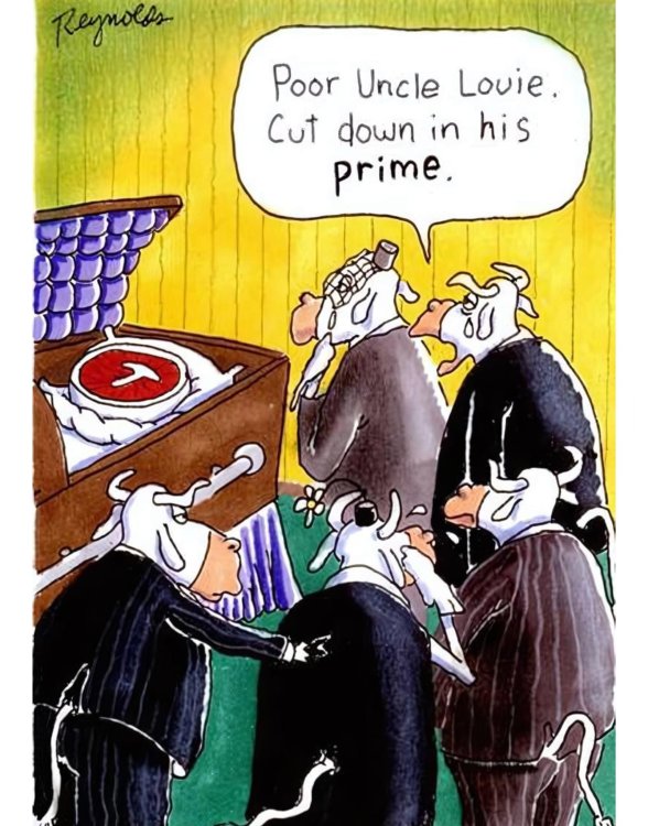 FUNNY CARTOON 14.jpg