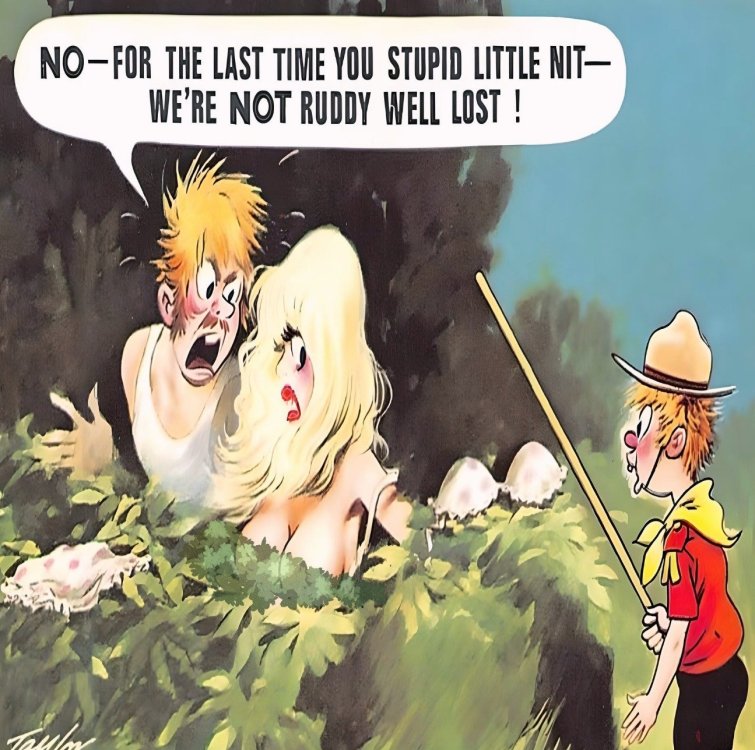 FUNNY CARTOON 18.jpg