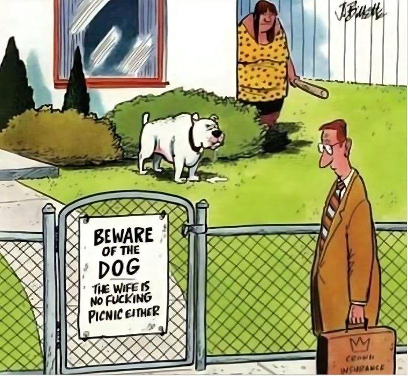 FUNNY CARTOON 19.jpg