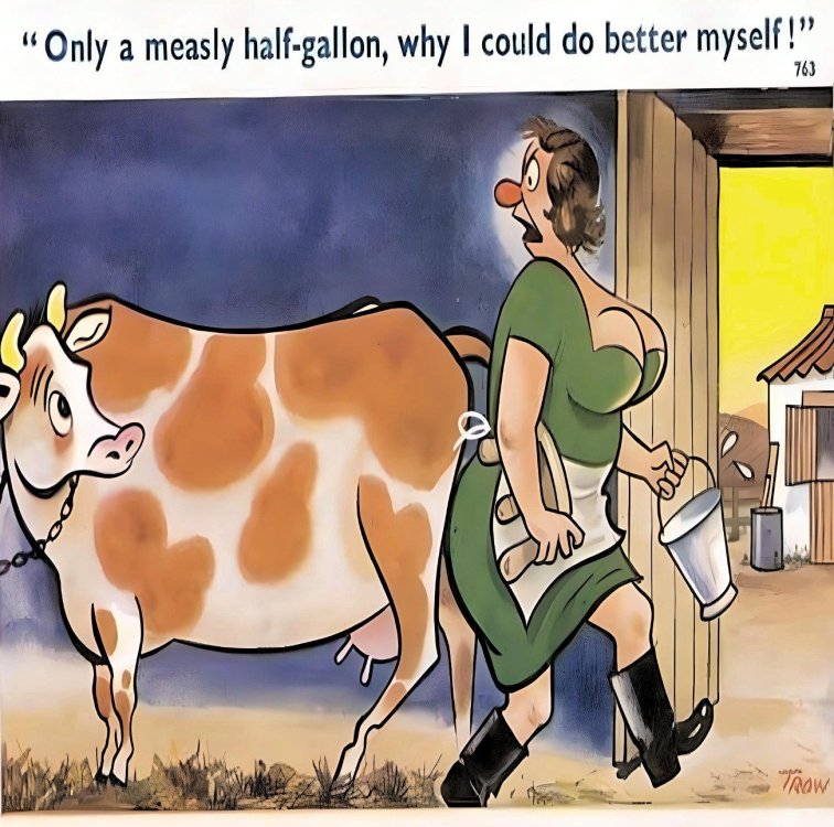 FUNNY CARTOON 20.jpg