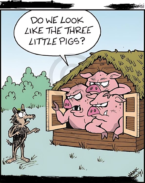 FUNNY CARTOON 27.jpg