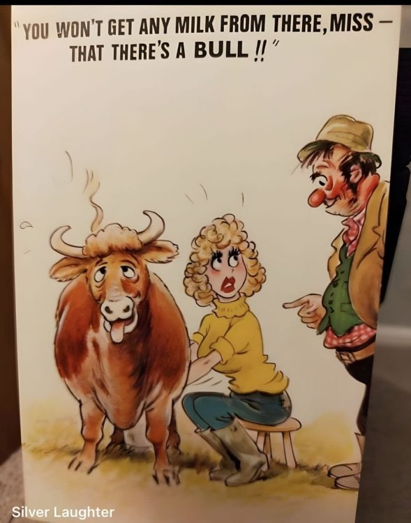 FUNNY CARTOON 76.jpg