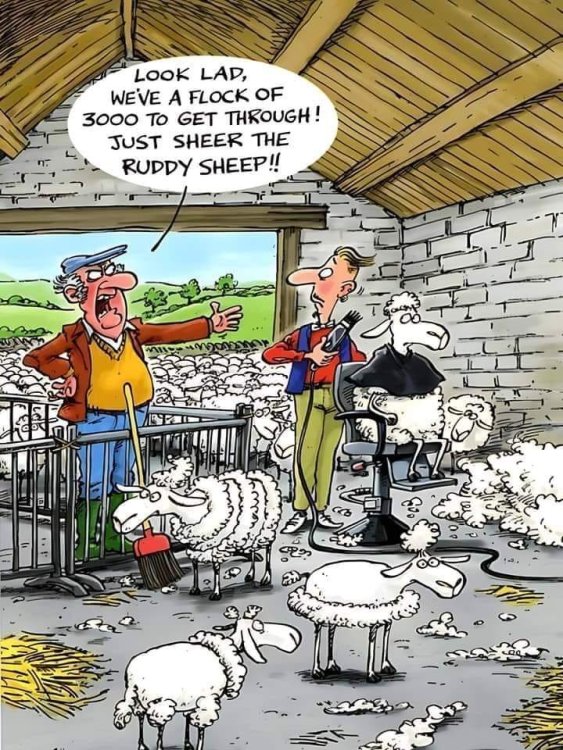 FUNNY CARTOON 98.jpg