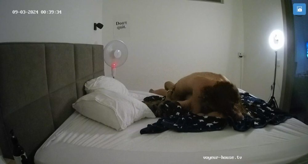 bandicam 2024-09-03 13-55-29-464.png