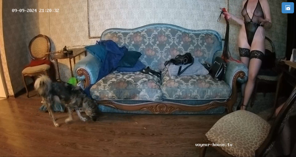 bandicam 2024-09-09 16-00-28-287.png