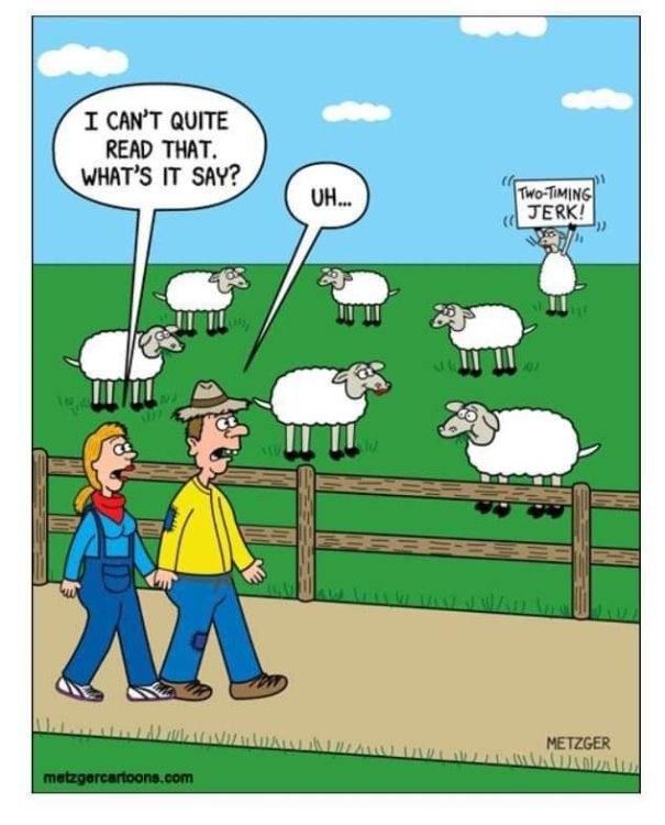 FUNNY CARTOON 01.jpg