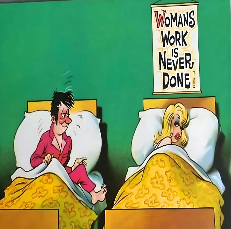 FUNNY CARTOON 05.jpg