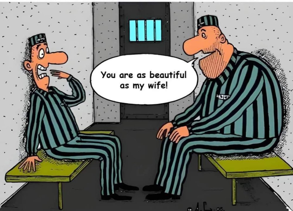 FUNNY CARTOON 09.jpg