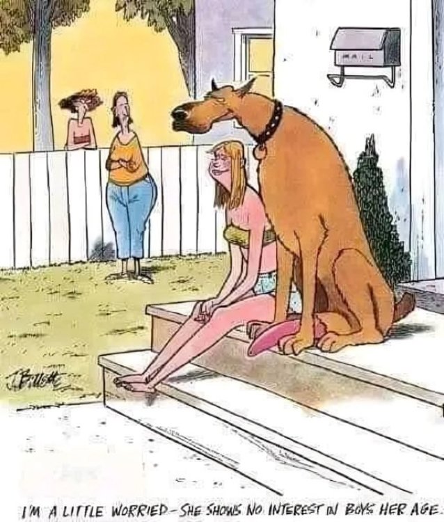 FUNNY CARTOON 115.jpg