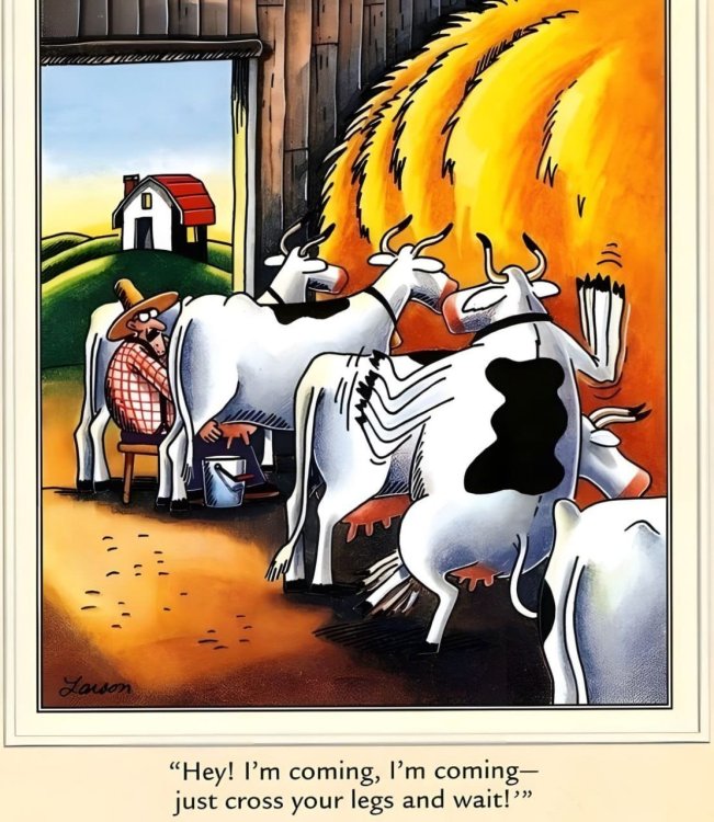 FUNNY CARTOON 80.jpg