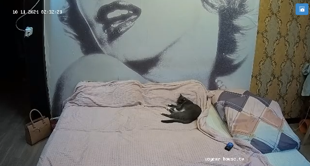 bandicam 2024-10-11 02-12-26-857.png