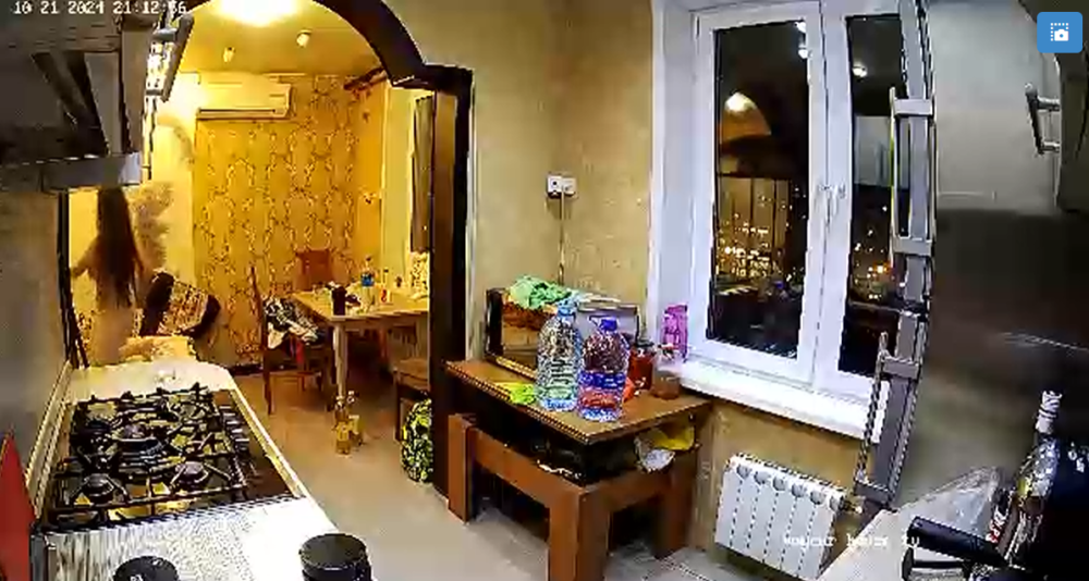 bandicam 2024-10-22 10-34-32-542.png