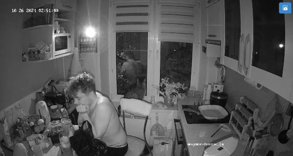 bandicam 2024-10-26 04-13-54-410.png