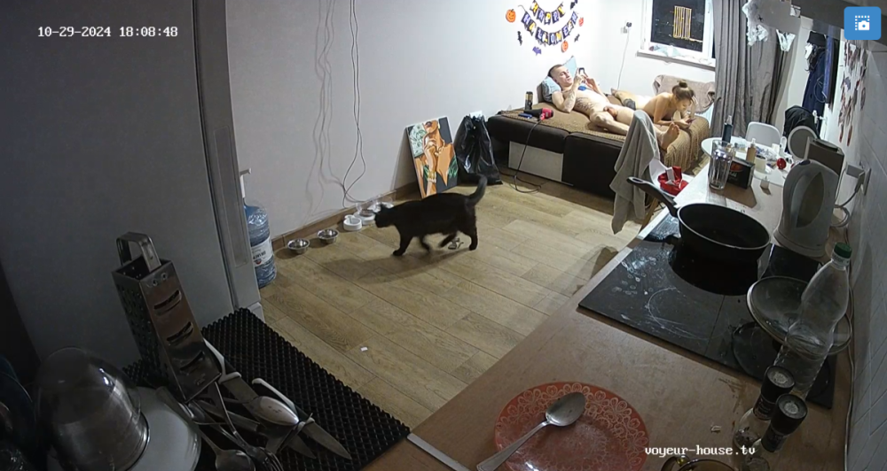 bandicam 2024-10-30 10-40-44-498.png