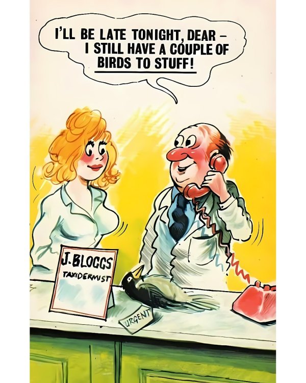 FUNNY CARTOON 09.jpg