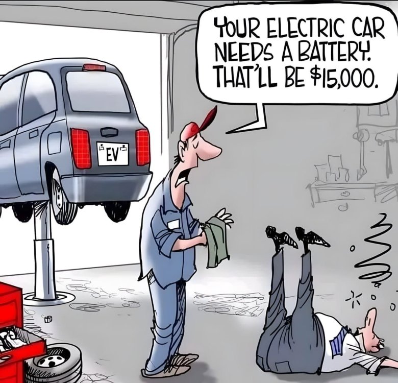 FUNNY CARTOON 10.jpg