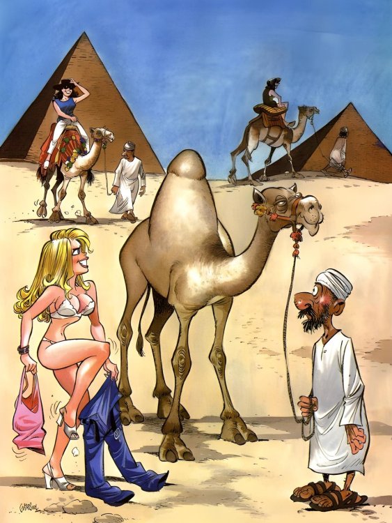 FUNNY CARTOON 33.jpg