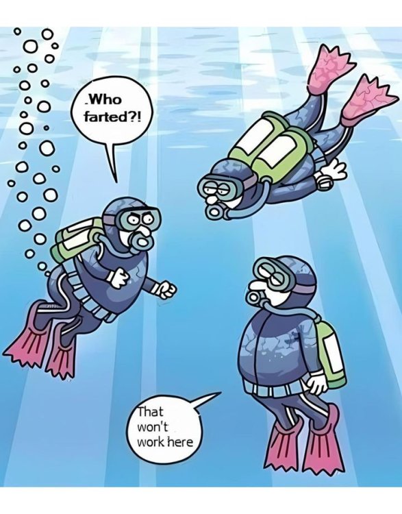 FUNNY CARTOON 34.jpg