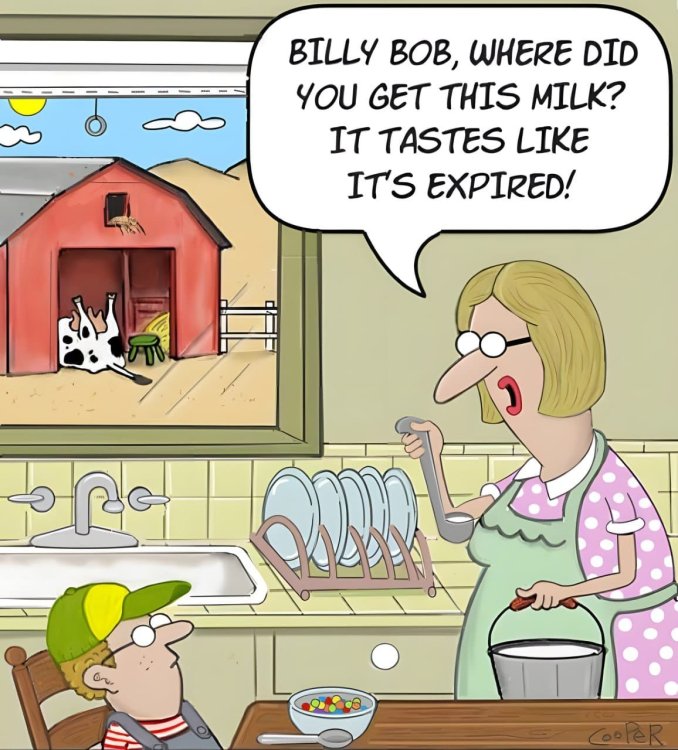 FUNNY CARTOON 58.jpg