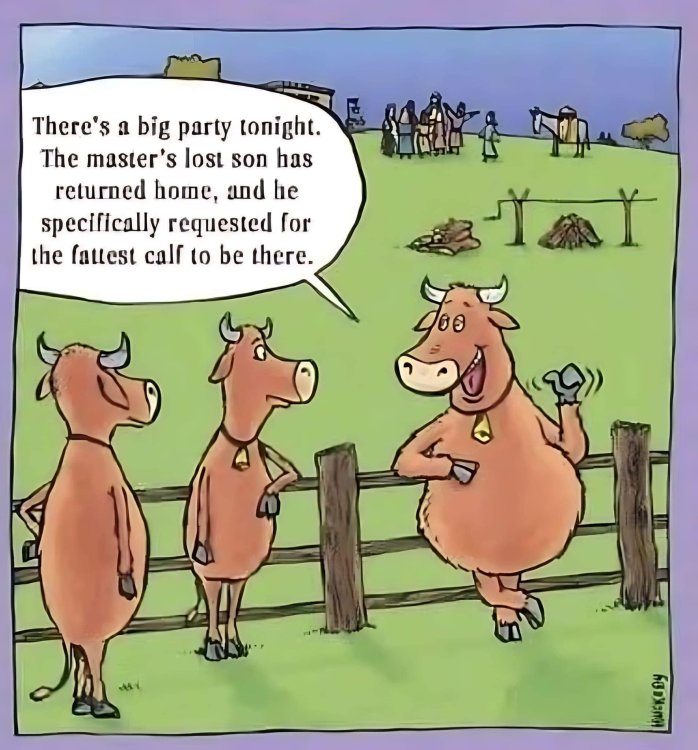 FUNNY CARTOON 65.jpg