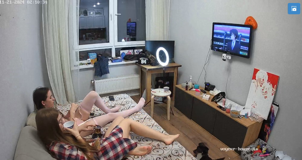 bandicam 2024-11-21 12-33-10-472.png